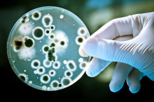 Biologické znečistenie neupravenej vody