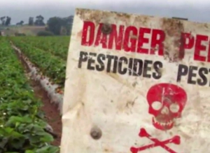 pesticidy v pitnej vode