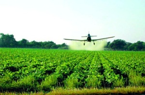 pesticidy vo vode